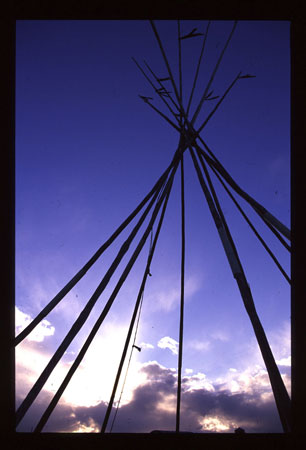 Tipee