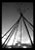 Tipee