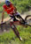 mtbike2